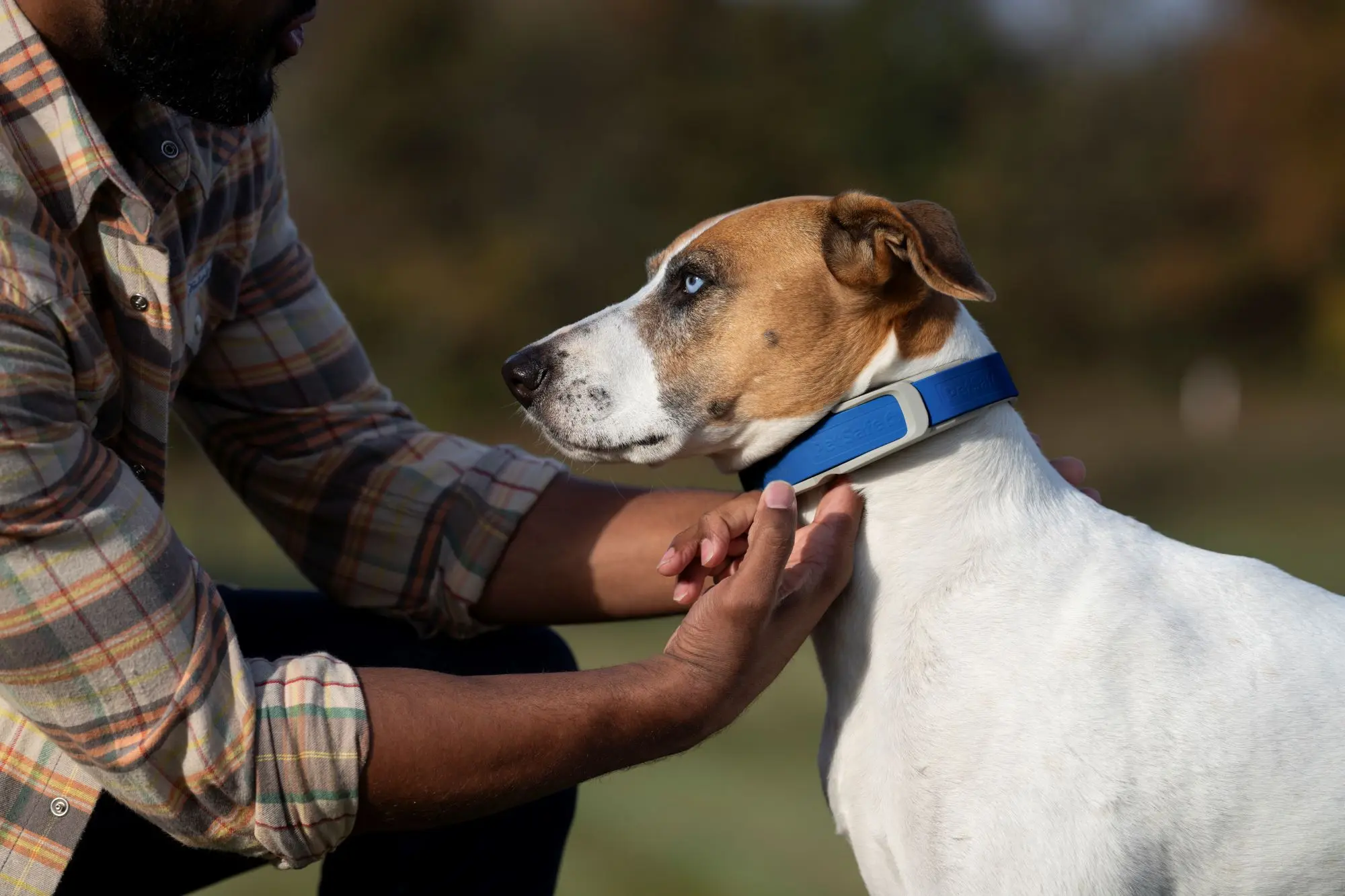 Reliable GPS Dog Tracking: Keep Your Pet Safe Reliable GPS Dog Tracking: Keep Your Pet Safe