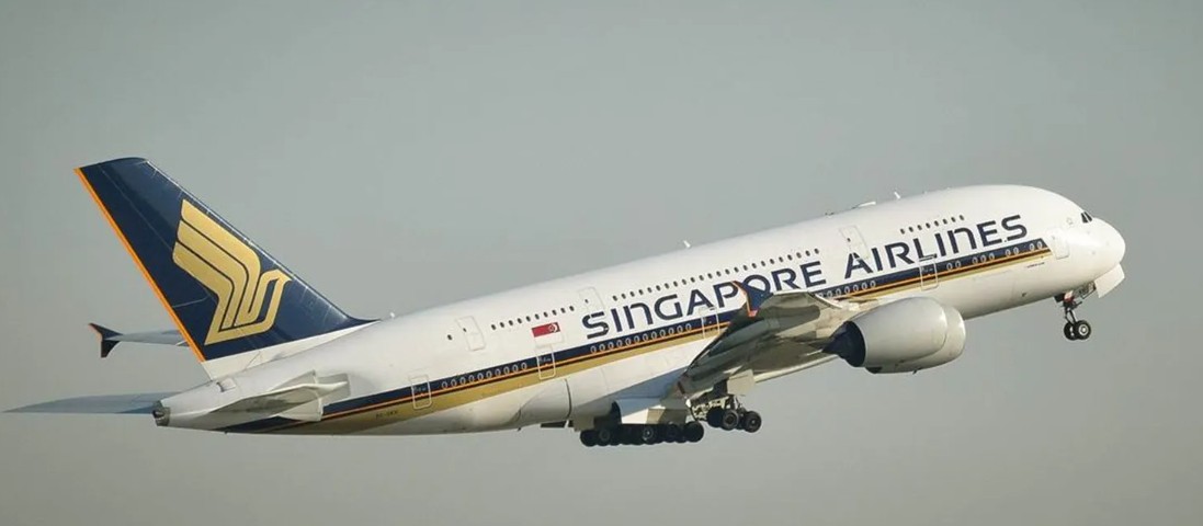 Singapore flight Singapore flight